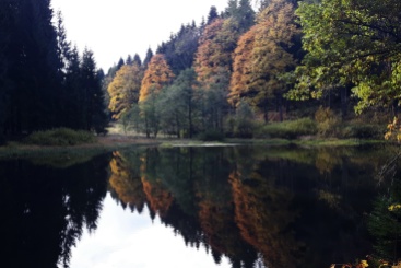 am Schwarzen Teich im Bornwald